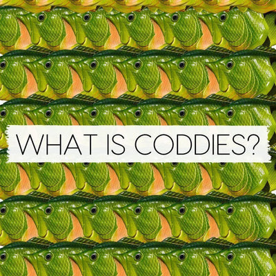 What is Coddies?