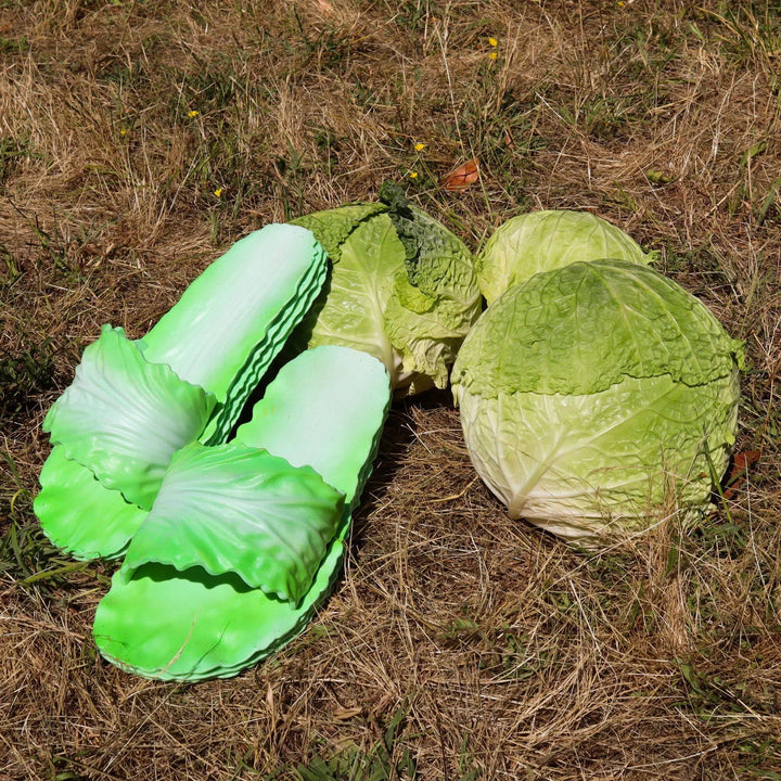 Coddies® Cabbage Slides