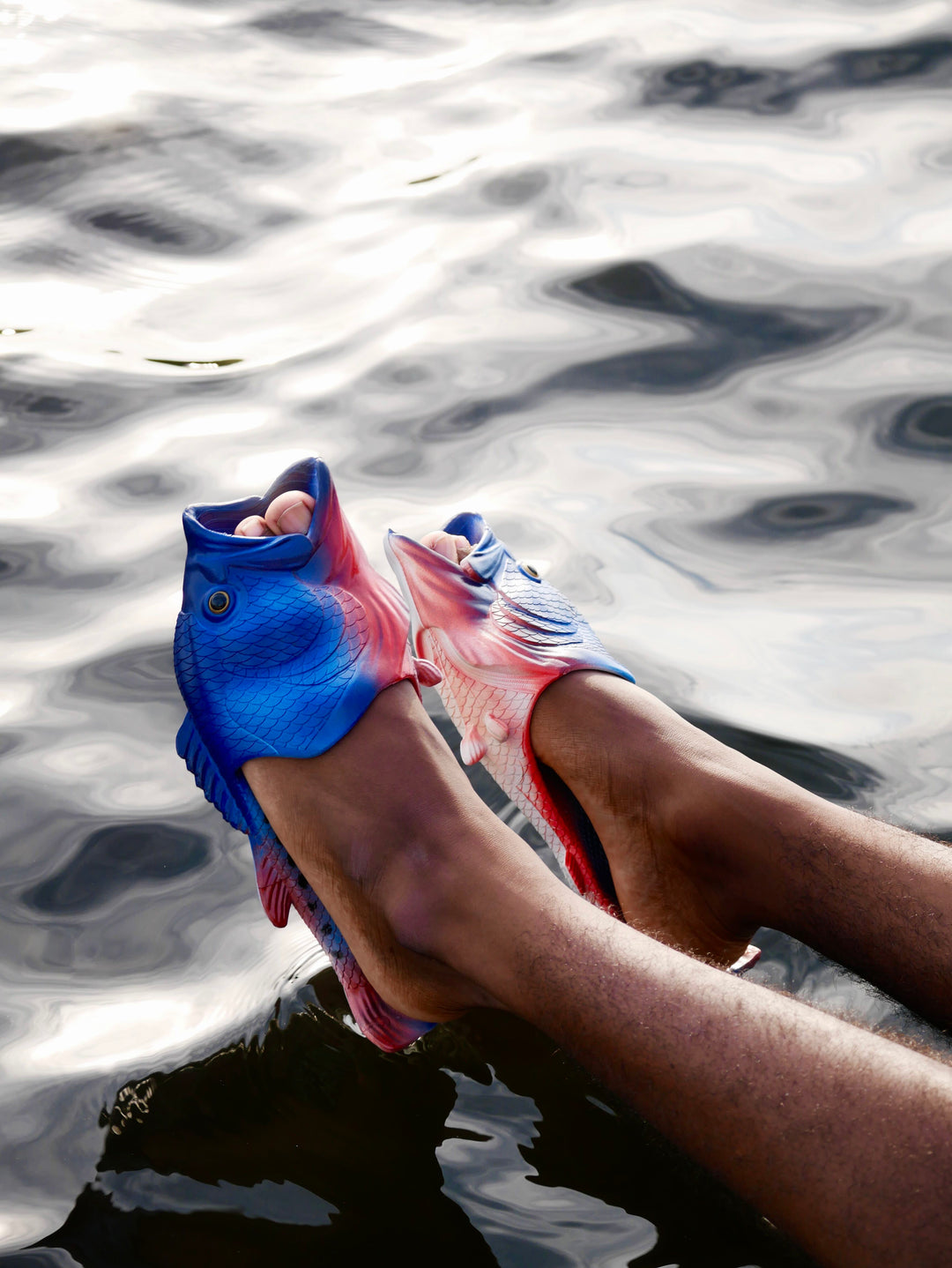 Coddies® Pearl Danio Flops
