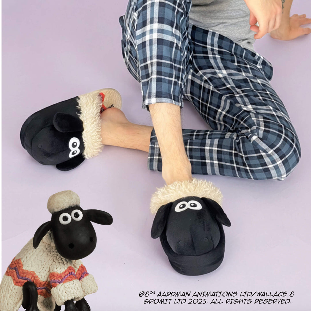 Coddies Shaun the Sheep Slides